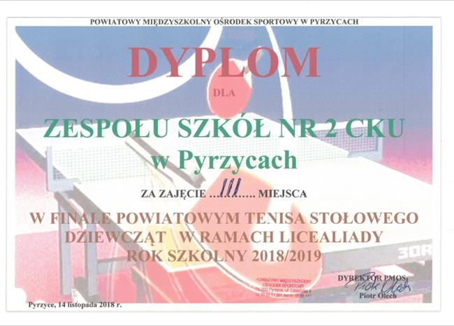 Zdjęcie 17